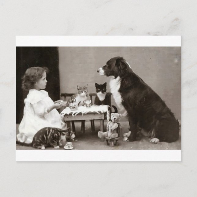 Teezeit Postkarte (Vorderseite)