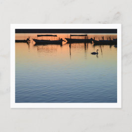 Teganuma-See: Abiko, Japan Postkarte