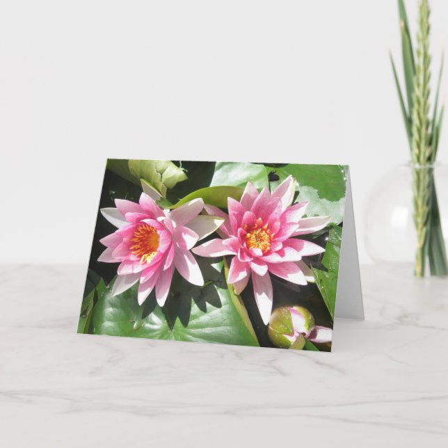 Teich-Lilien Notecard Karte (Vorderseite)