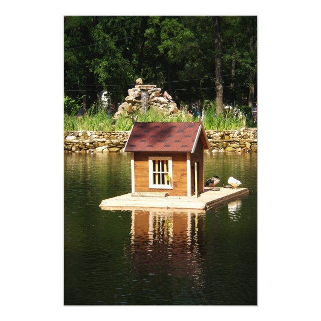 Teich mit Vogelhaus Fotodruck (Vorne)