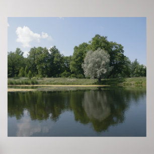Teich Poster