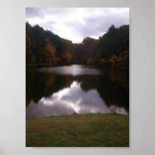 Teich Poster