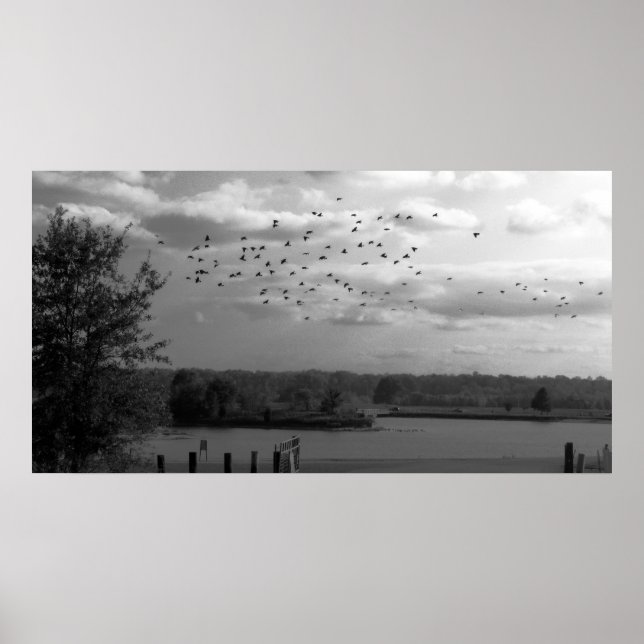 Teich Poster (Vorne)