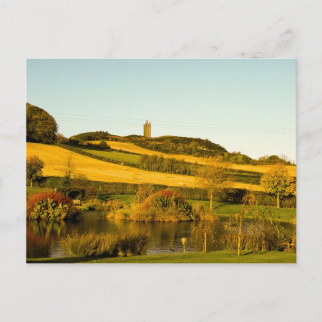 Teich Postkarte (Vorderseite)