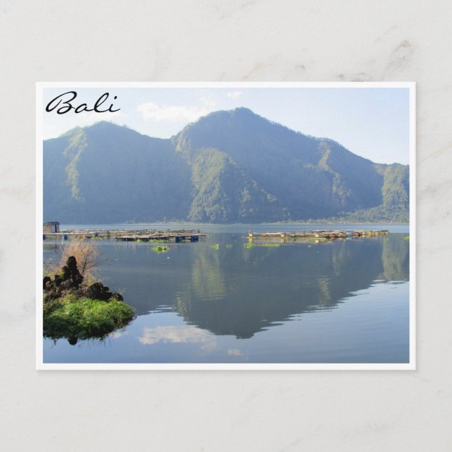 Teich Postkarte (Vorderseite)
