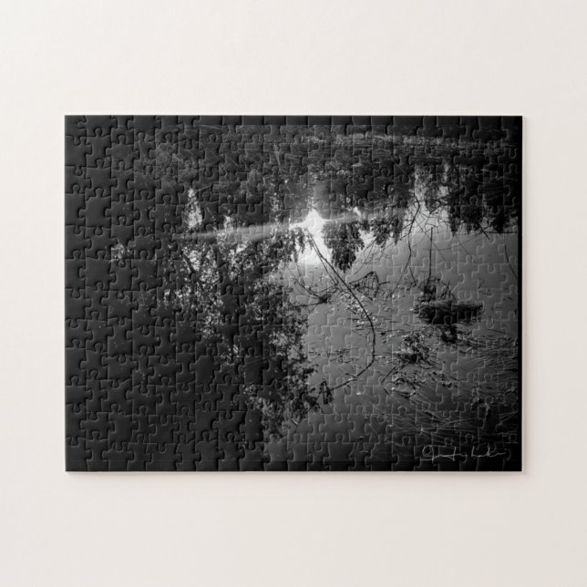 Teich-Rätsel (Horizontal)