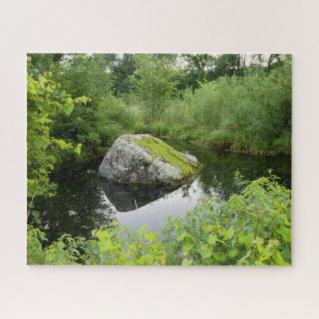 Teich und Mossgestein (Horizontal)