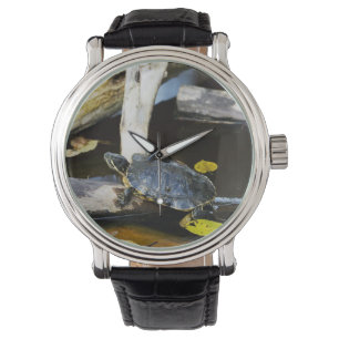 Teichschieberschildkröte im wilden armbanduhr