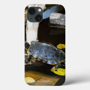 Teichschieberschildkröte im wilden Case-Mate iPhone hülle
