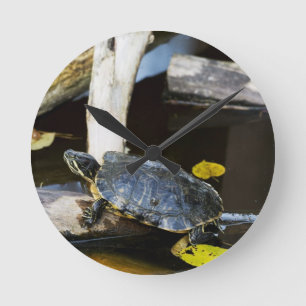 Teichschieberschildkröte im wilden runde wanduhr