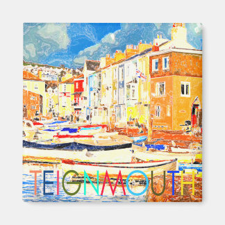 Teignmouth Magnet