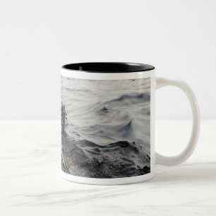 Teil eines Ölteppichs im Golf von Mexiko Zweifarbige Tasse