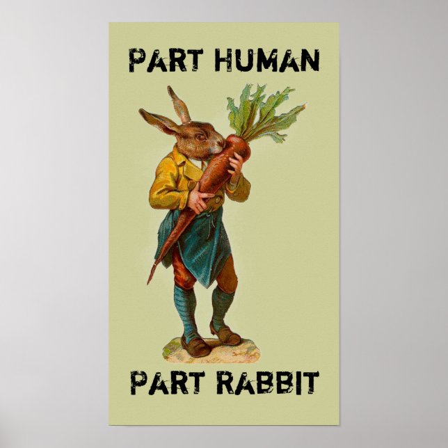 Teil Mensch, Teil Kaninchen-Poster Poster (Vorne)