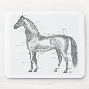 Teile des Pferds Mousepad