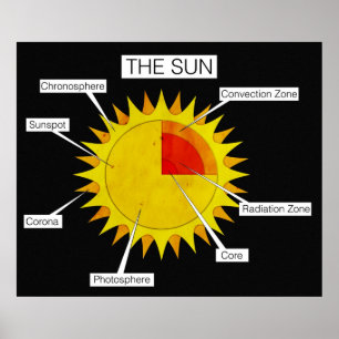 Teile des Sonnenstudio-Posters Poster