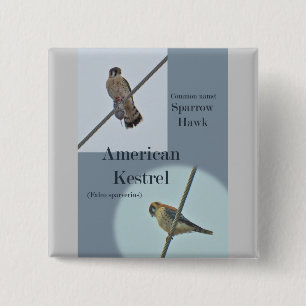 Teile von American Kestrel (Falco sparverius) Button