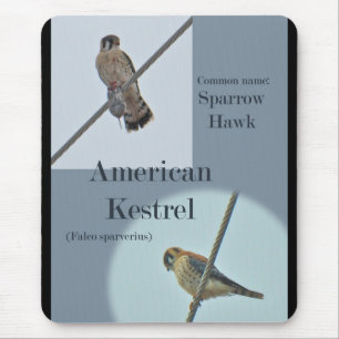 Teile von American Kestrel (Falco sparverius) Mousepad