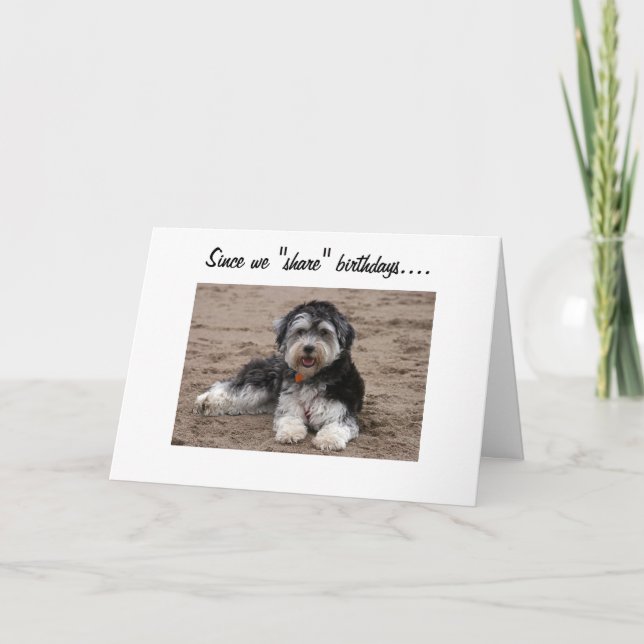 TEILEN SIE BIRTHDAYS-WANNA EIN PAAR SPASS? KARTE (Vorderseite)