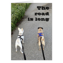 Teilen Sie die Reise