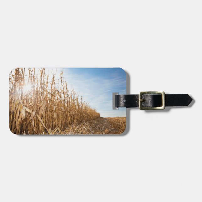 Teils geerntetes Mais-Feld Gepäckanhänger (Vorderseite horizontal)