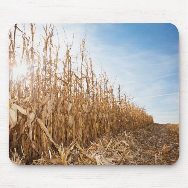 Teils geerntetes Mais-Feld Mousepad (Vorne)