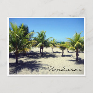 Tela Beach Palms Postkarte