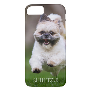 Telefon-Kasten Shih Tzu Case-Mate iPhone Hülle