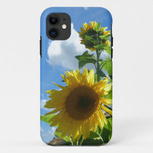 Telefonzelle - Sonnenblume iPhone 11 Hülle