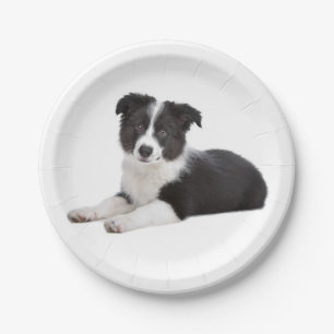 Teller aus dem Puppenhunpapier, schwarz und weiß