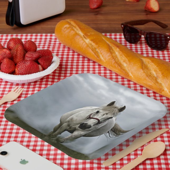 Teller aus weißem Stein (Picknick)