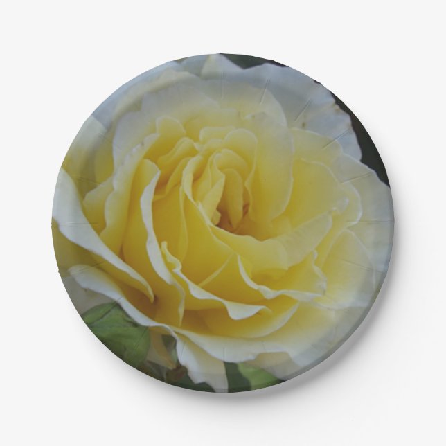 Teller aus Weißrosa (Vorderseite)