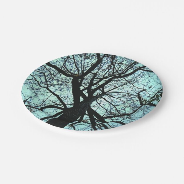 Teller für Baumuster (Schrägansicht)