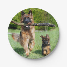 Teller für deutsche Hirtenpapiere