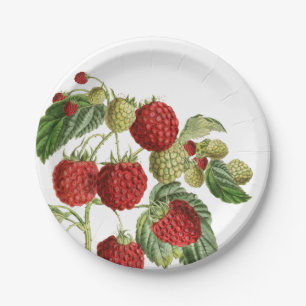 Teller für rotes Himbeeren, botanisches Design