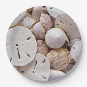 Teller für Sandpapiere