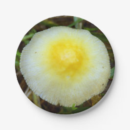 Teller mit gelber Feldkappe