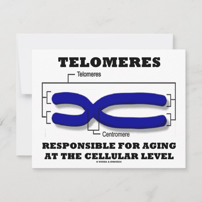 Telomeres, die für das Altern auf Zellebene verant Karte (Vorderseite)