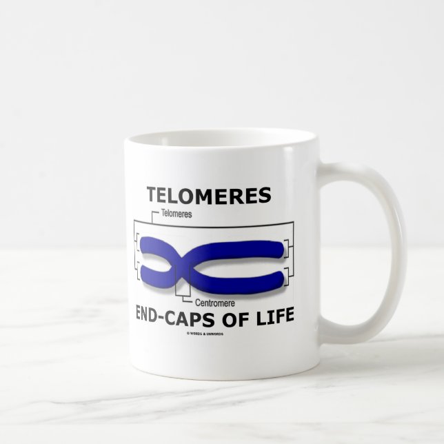 Telomeres Ende-Kappen des Lebens (Biologie-Spaß) Kaffeetasse (Rechts)