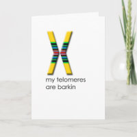 Telomeres