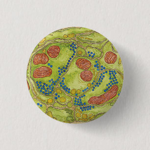 TEM Synapse - Button u. Knopf