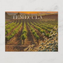 Temecula Weinkultur und Erde Weinroute Mendrisiott