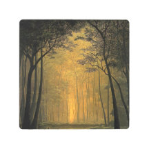 témoignage tomas sanchez