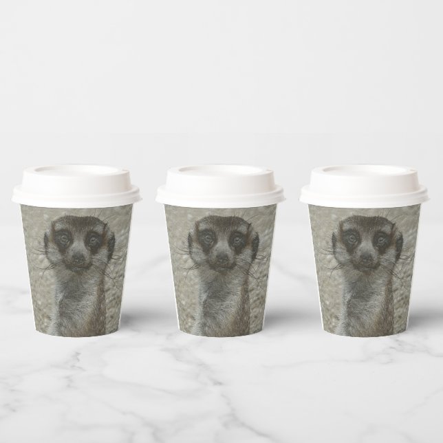 Temp Cup Pappbecher (Multi)