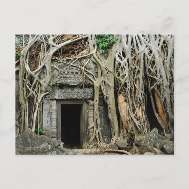 Tempelangkor Postkarte (Vorderseite)