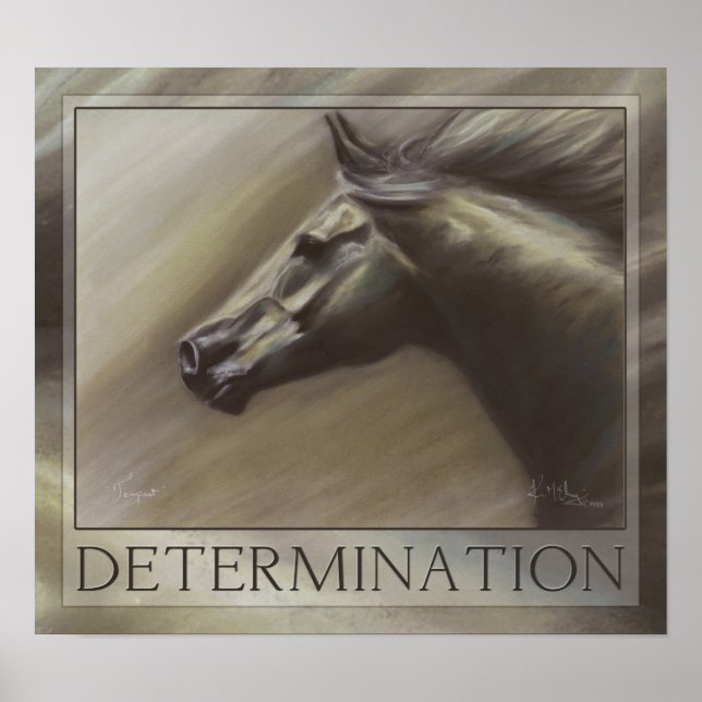 Tempest Poster (Vorne)