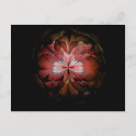 Tempest (rot) postkarte