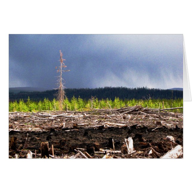 Tempête de cutbloc (Devant horizontal)