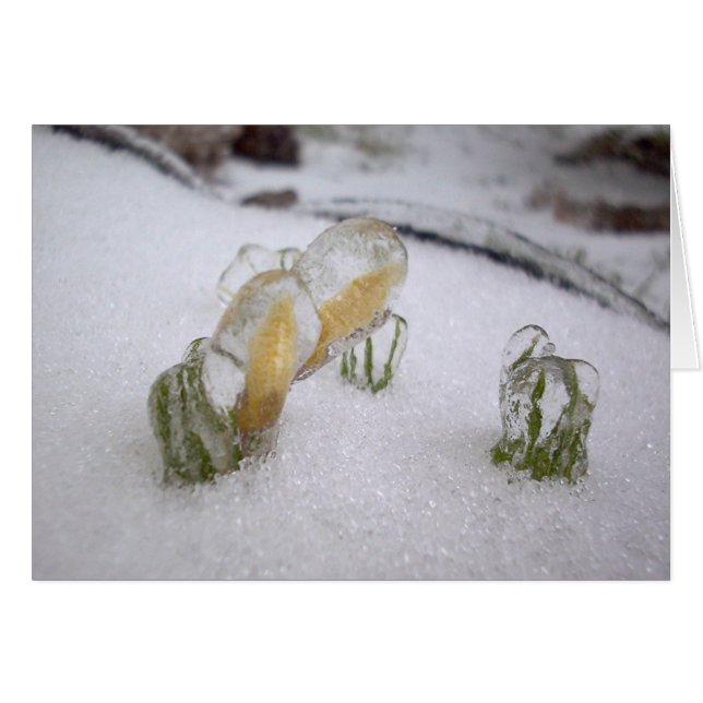 Tempête de pluie verglaçante 2003 (Devant horizontal)