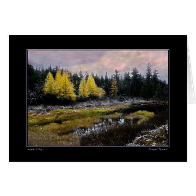 Tempête de Tamarack (Devant horizontal)