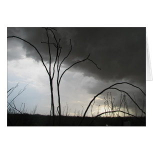 Tempête entrante